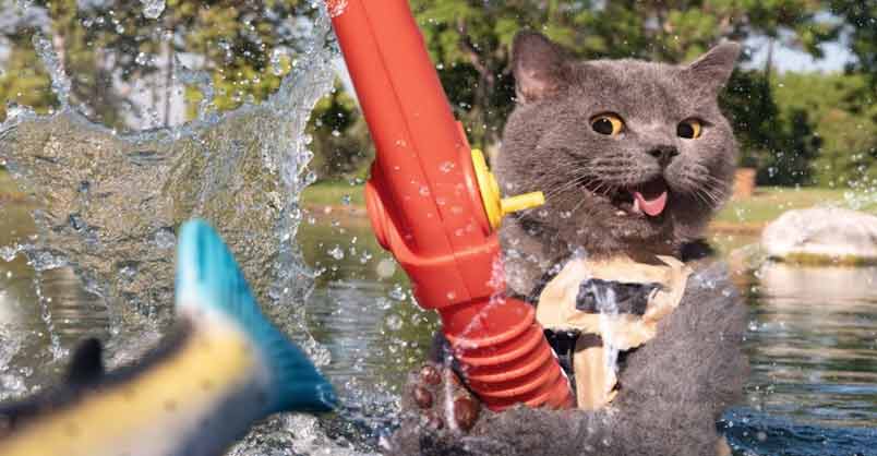 Gone Fishing !! – We Love Cats and Kittens