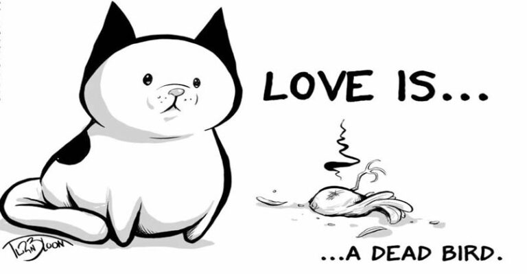 Wife Insists Husband Post Comics He Created About A Cat They Rescued