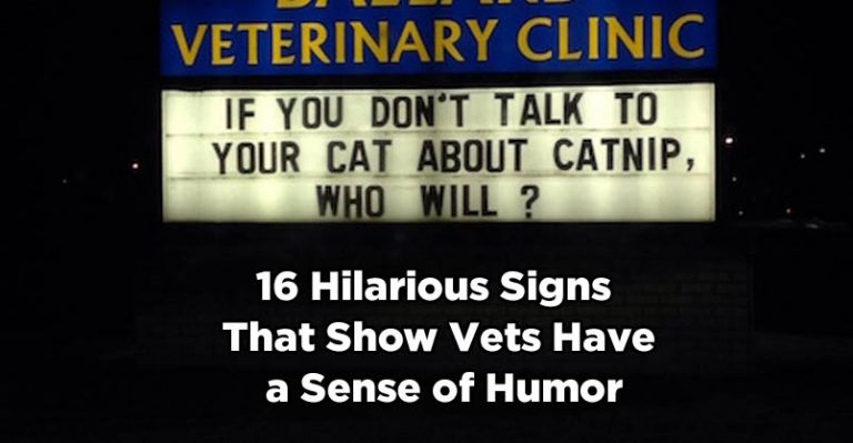 16 Hilarious Signs That Show Vets Have a Sense of Humor - We Love
