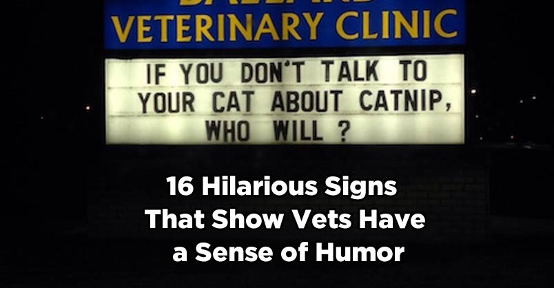 16 Hilarious Signs That Show Vets Have a Sense of Humor – We Love