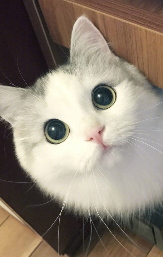 Watching you~what are you doing~