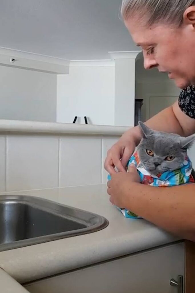 Woman Wraps Up Her Cat For Xmas