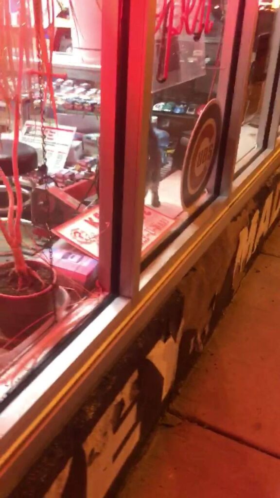 Store cat needs love too. W/Rogelio Castillo