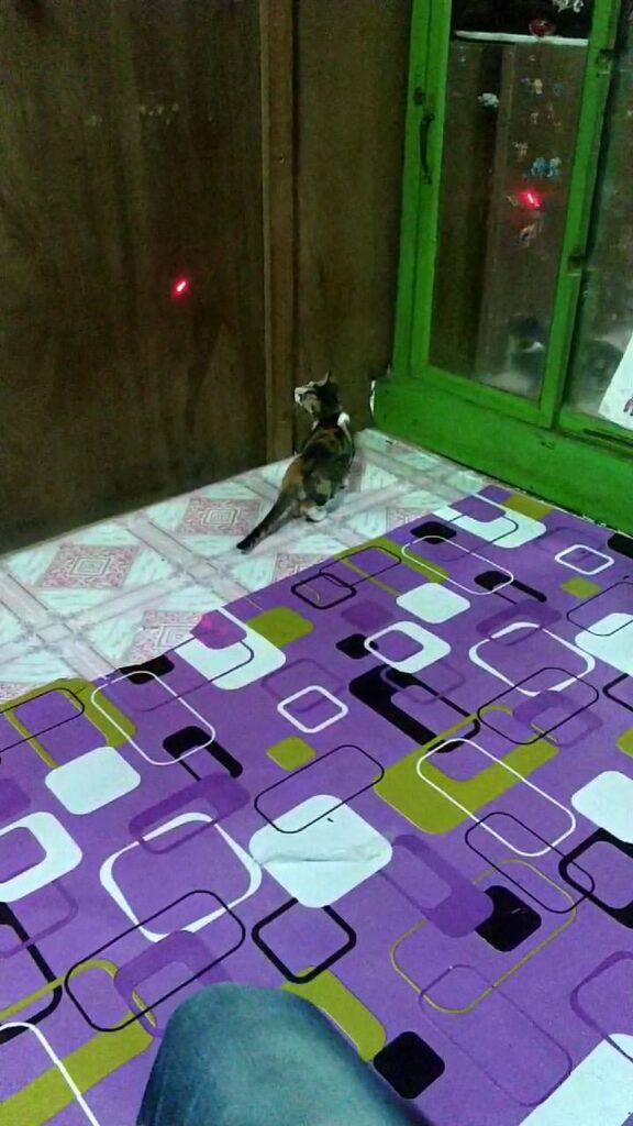 Laser Is My Enemy
