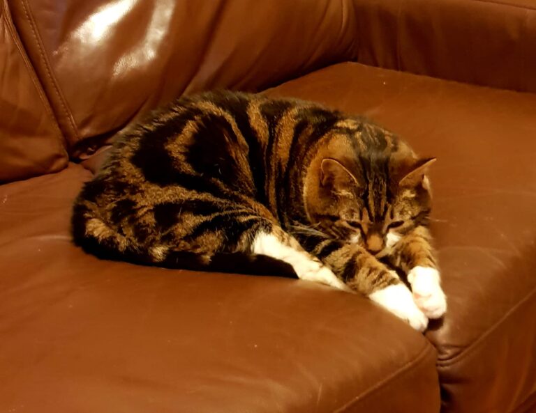 Tired Nikki