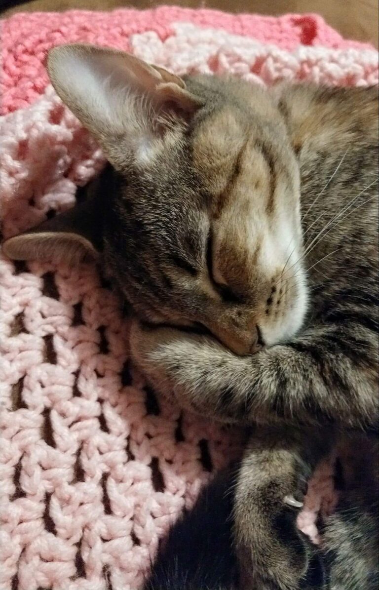 Nap time