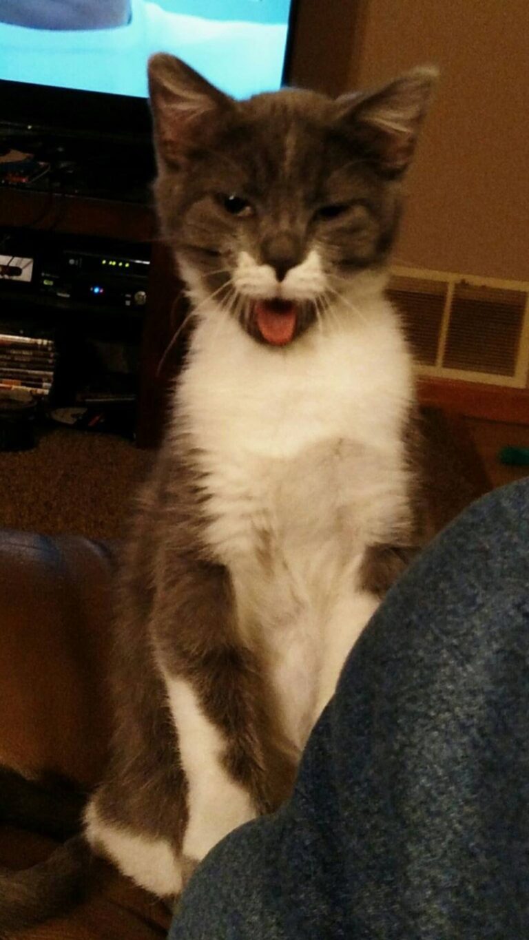 Let's play Dad!
