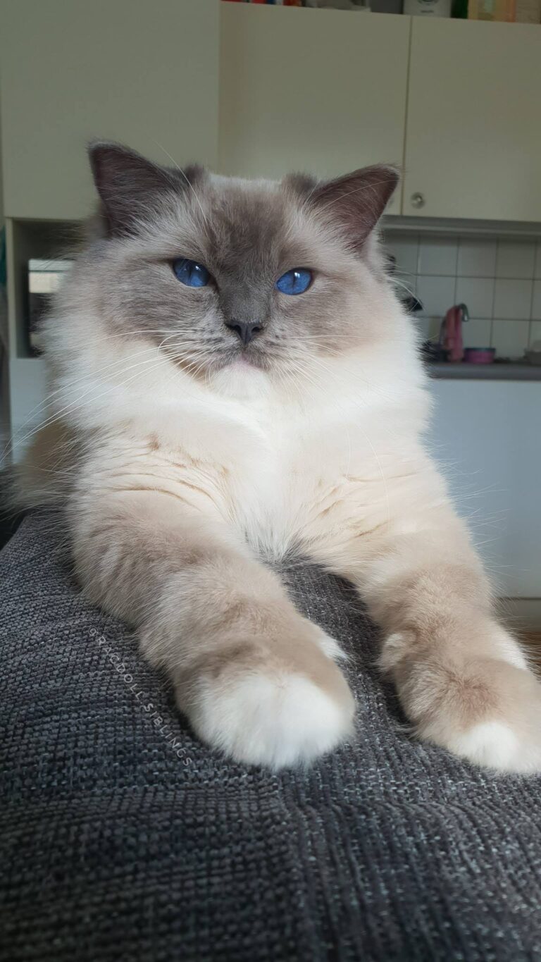 The bluest of eyes