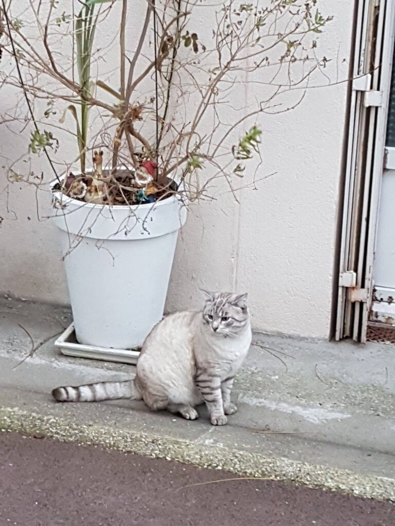 Myyy friend iiis concerned