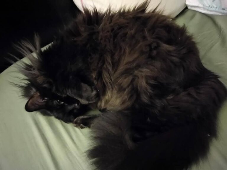 This is my daughter, Cleo. She's 12 years old and I've had her since I was 15. S