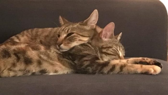 Mother and daughter love