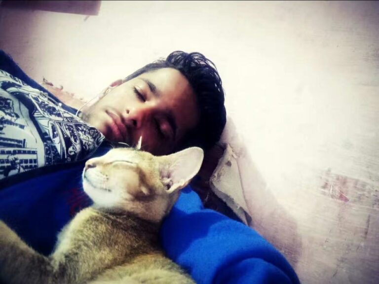 Gn all