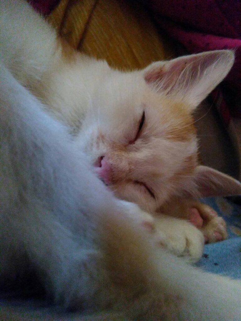 Here's my girl sizu