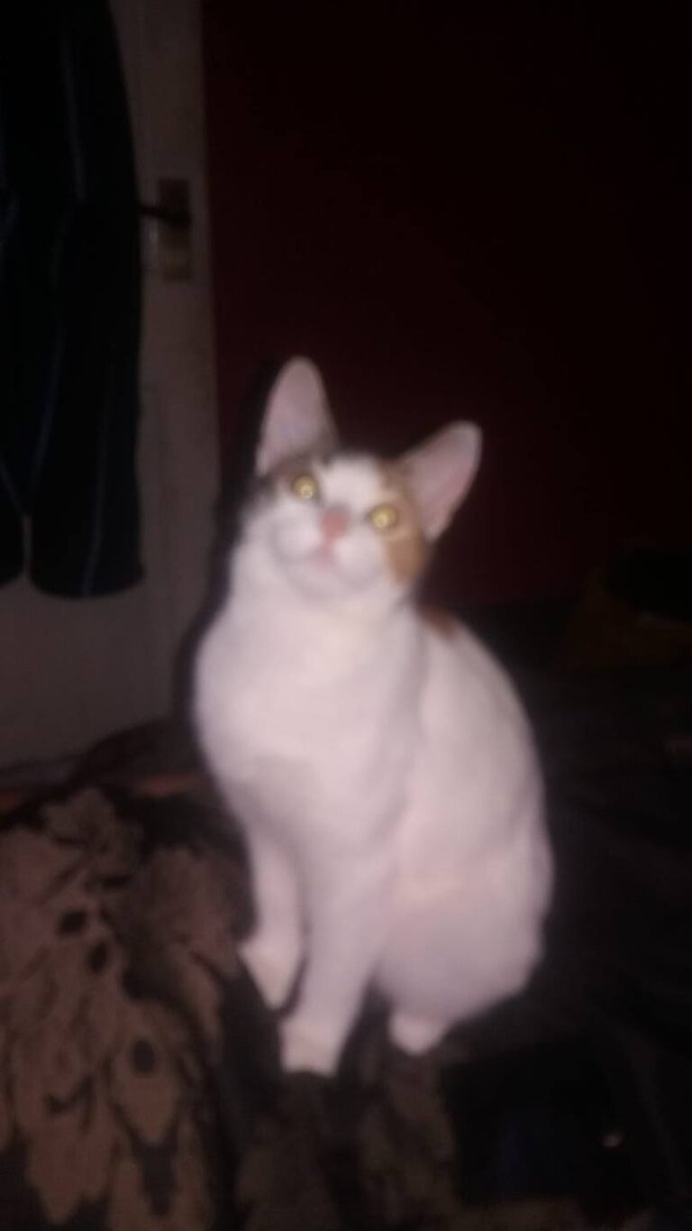 My Leela  xx
