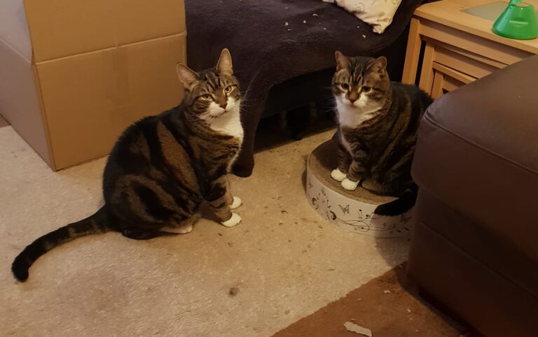 Nikki and Tommy say hi