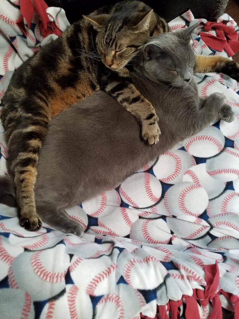 Snuggle buddies