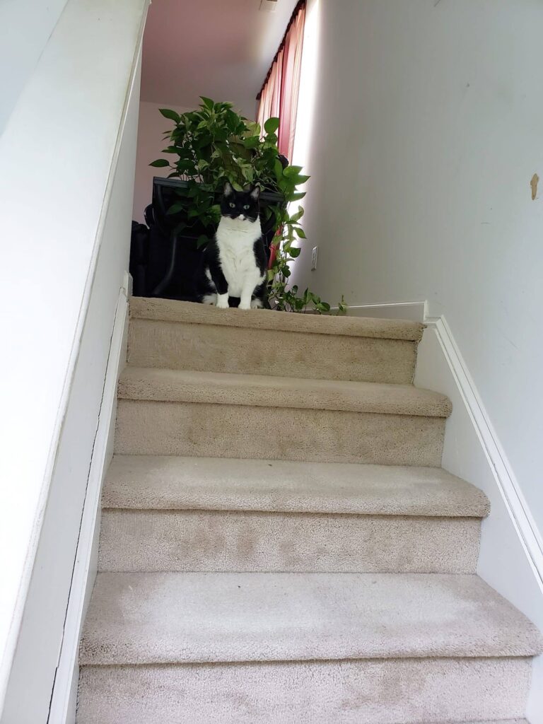 When I get home and start to head upstairs. Shes waiting something but what coul