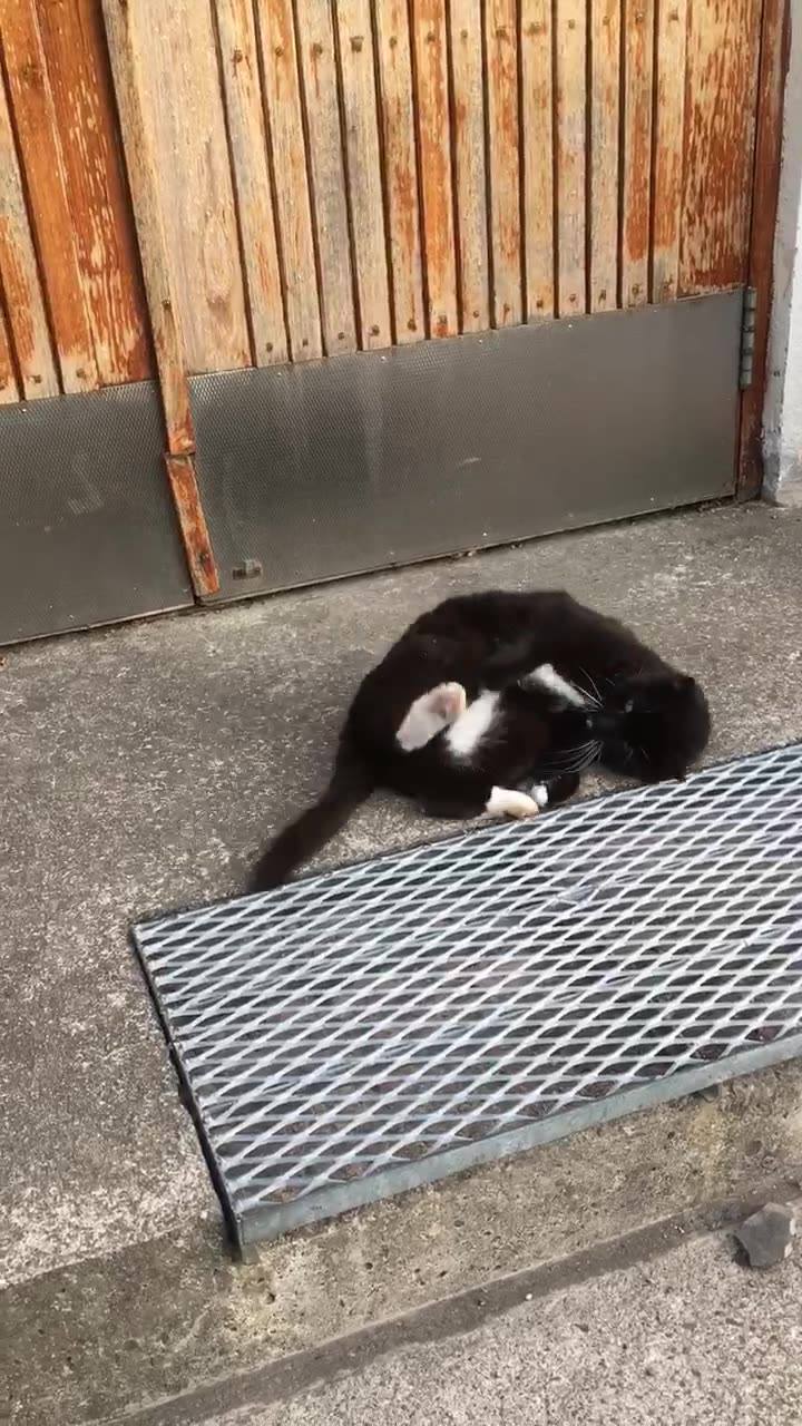 Every time when i comeback home