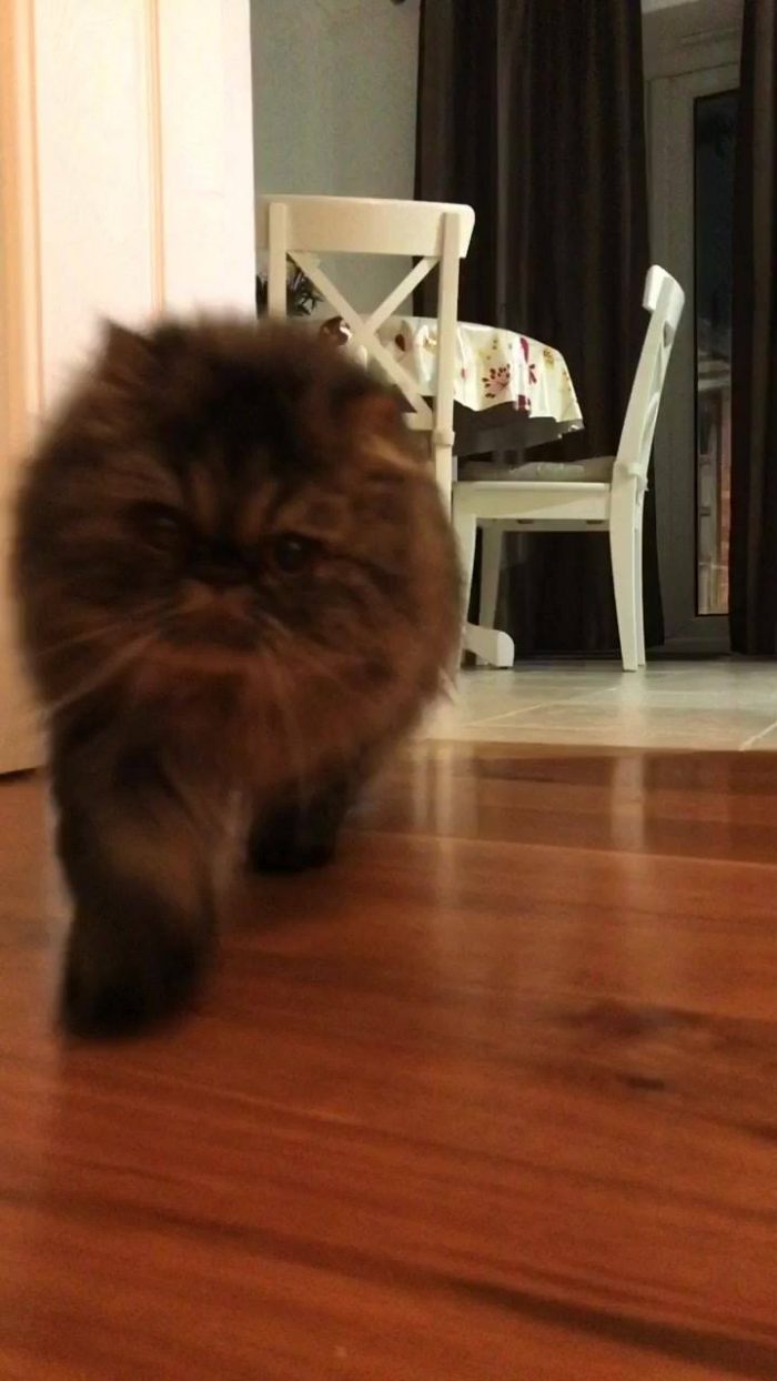 Watcha doing? Wanna play?