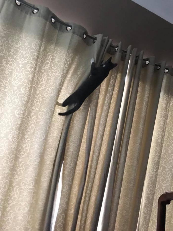 How’s it goin up there ZeZe?