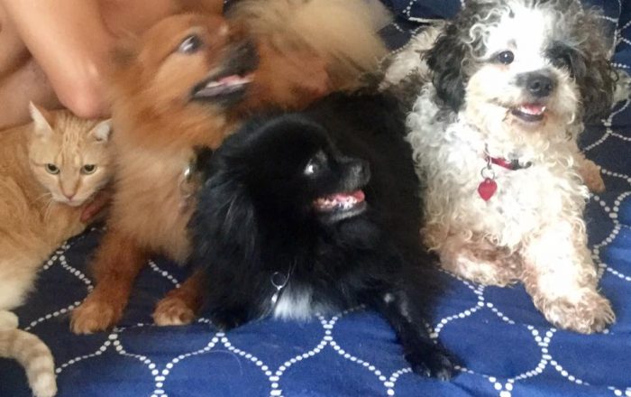 Dori and her brother and sisters.