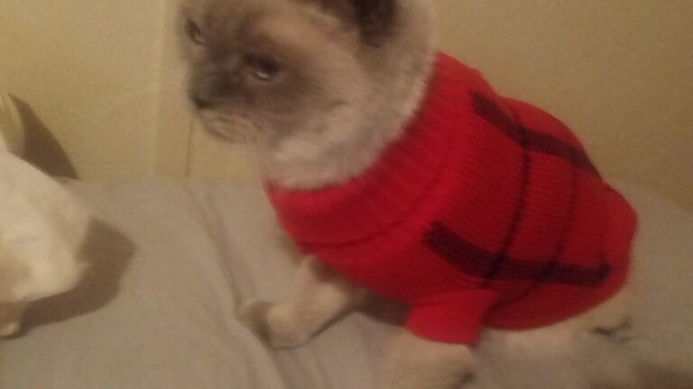 She's not happy with her sweater lol