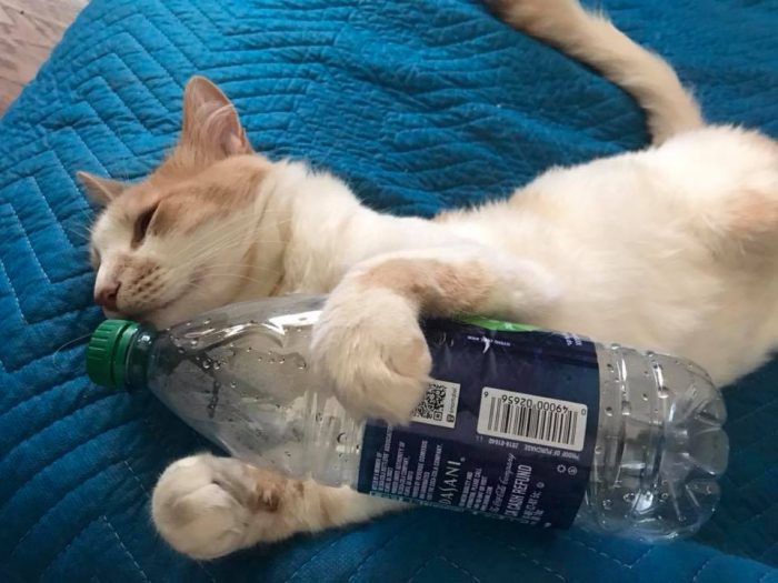 Tyler taking recycling seriously