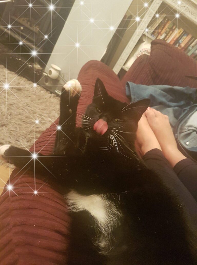 My boy sticking his tongue out