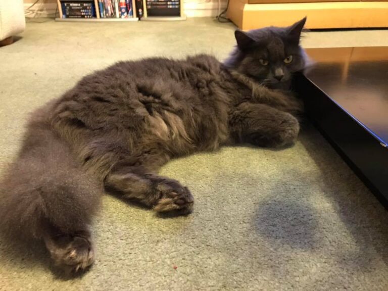Just chillin out