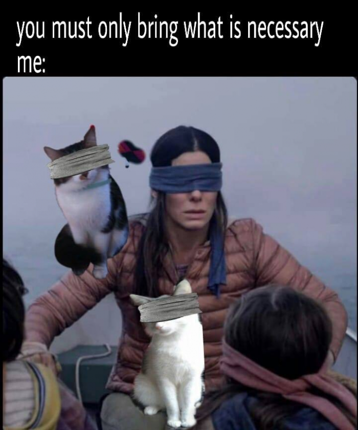 Purrfect.