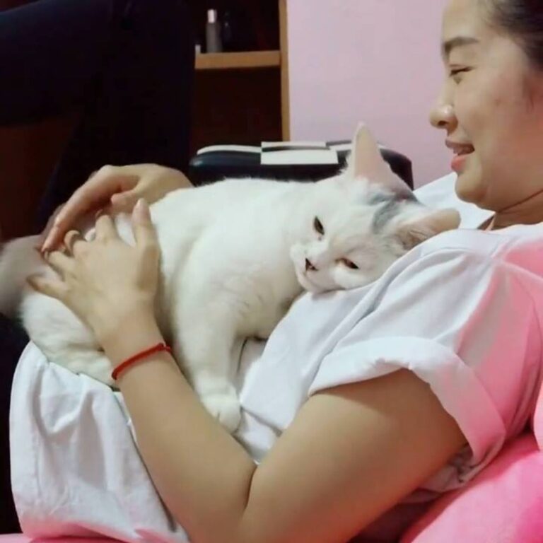 Happiness is... being loved by a cat.