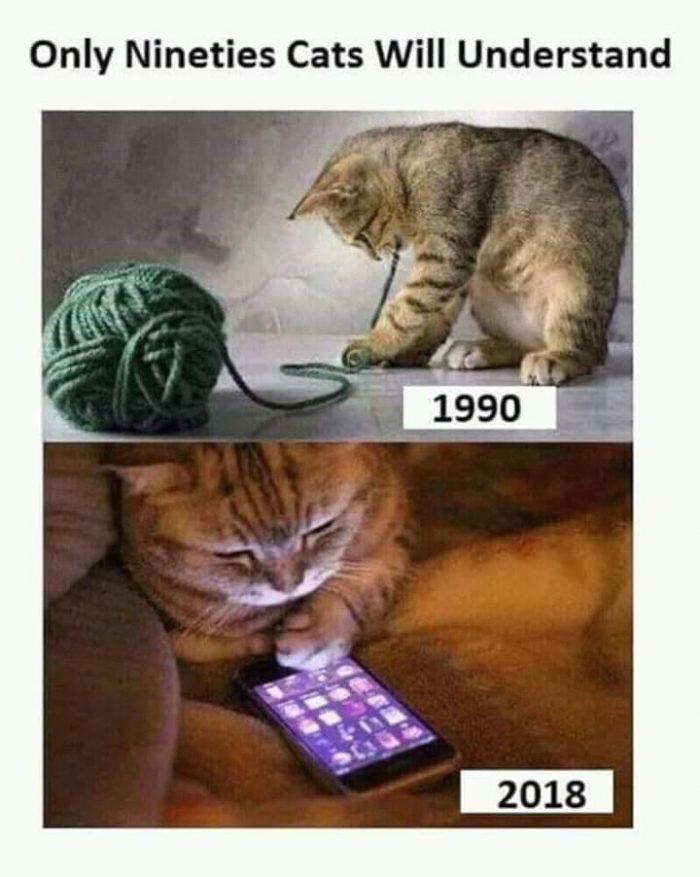only 90s cats will understand - one cat playing with yarn another with aphone