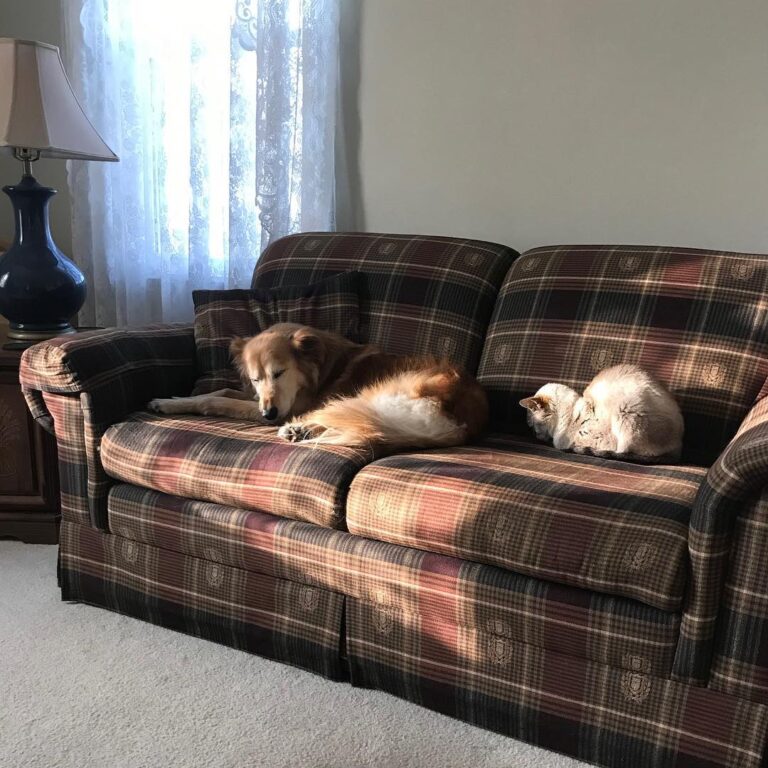 A truce has been reached after 10 years .