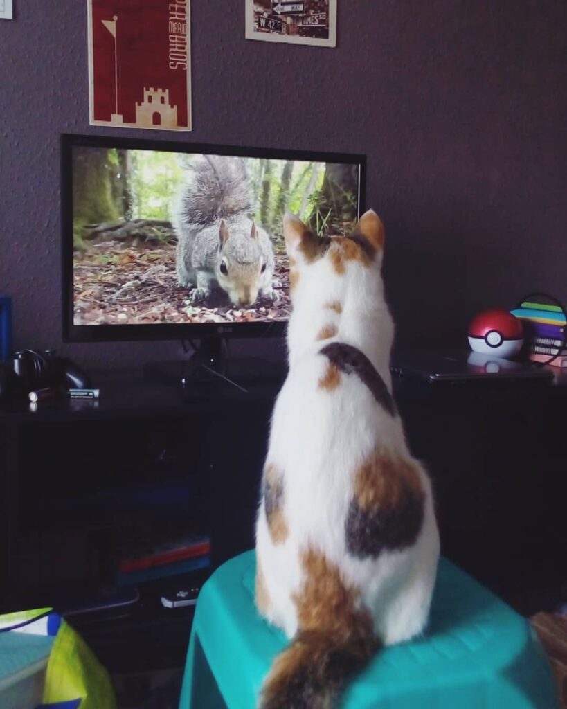 Anya is watching her favorite youtuber. . . . .