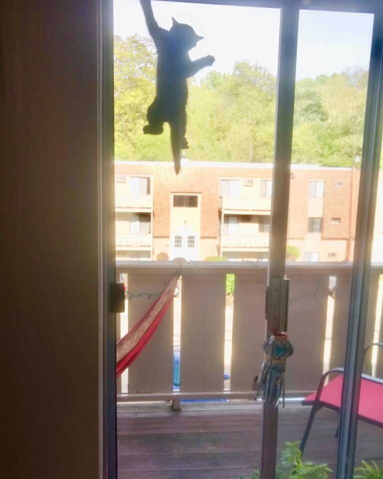 Back when I was young, I could fly!