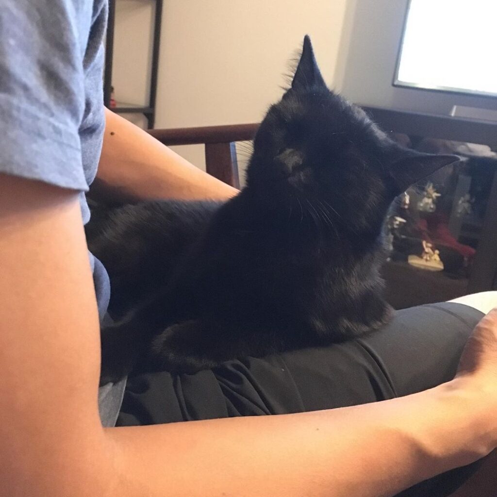 Daddy’s lil meowster. . .