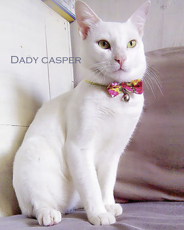 Dady casper