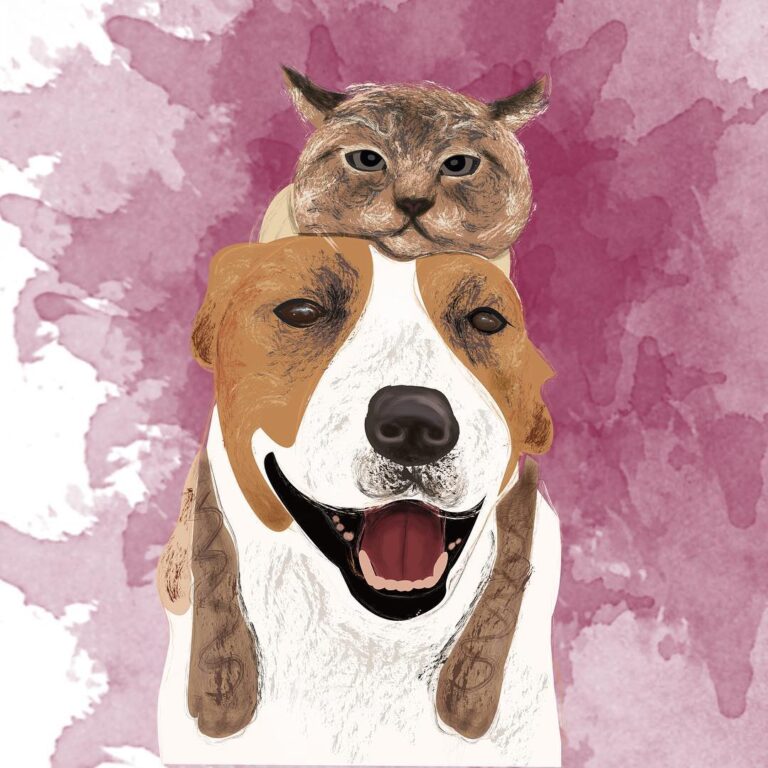 Cute Cat Moment