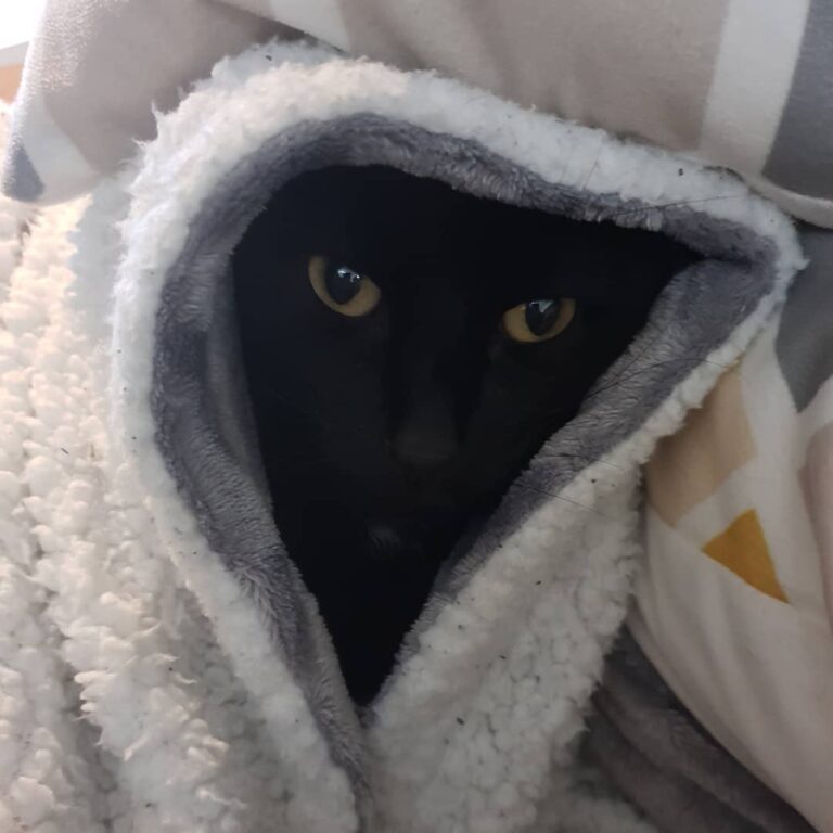 He put himself like this all alone