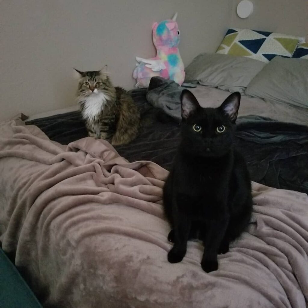 Hi Momma! We decided our new year’s resolution is to cause more