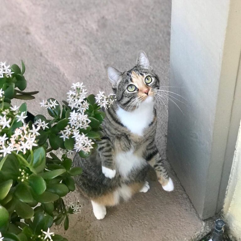 I am a supermodel momager. . . . . . . . . . .