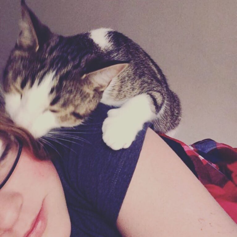 I honestly have the best cat ever..these last couple of months I’ve