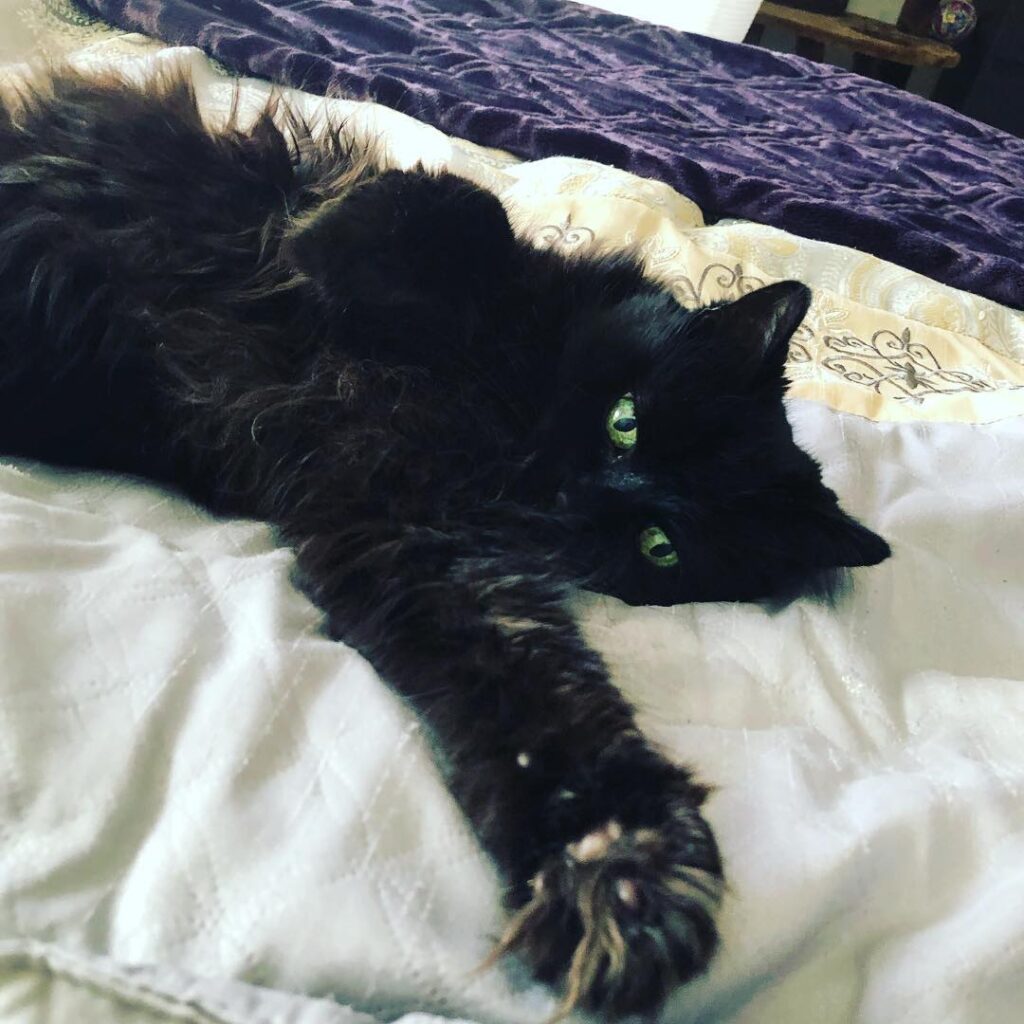 Just saying hello!