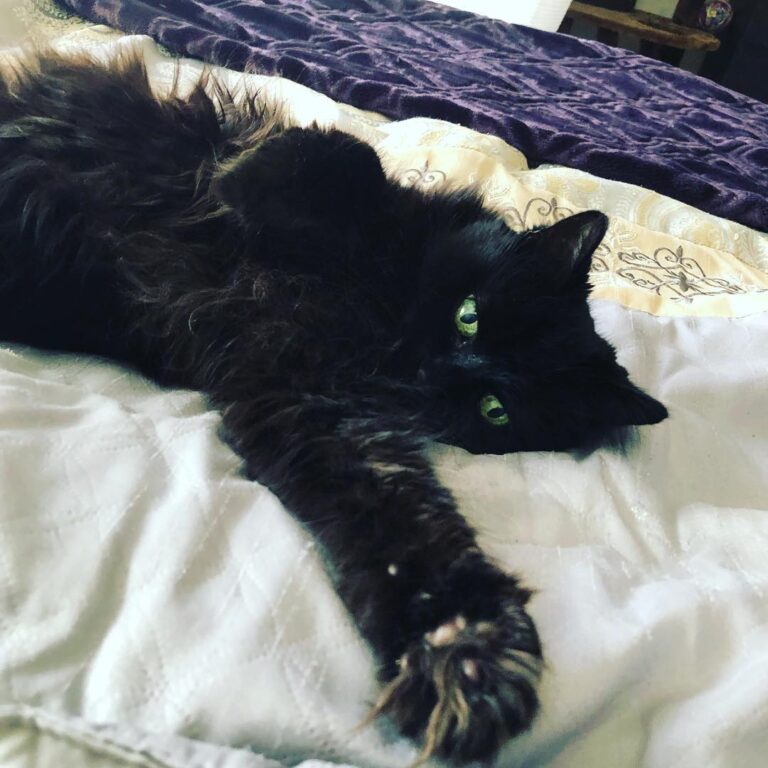 Just saying hello!