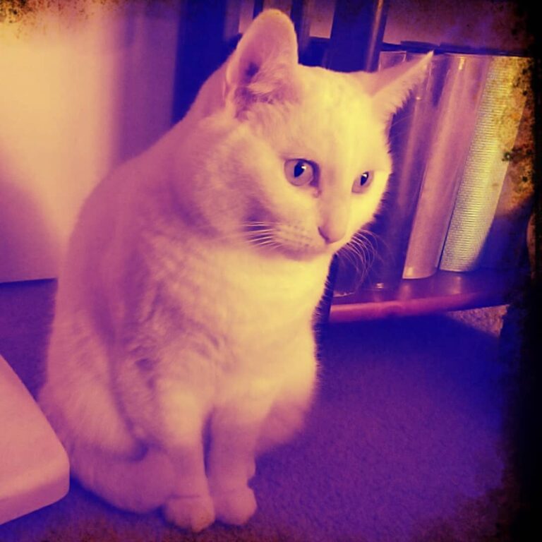 Just some photo fun cuz I am so beautiful!