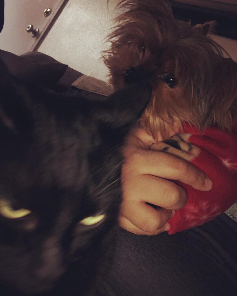 Matti doesn’t like