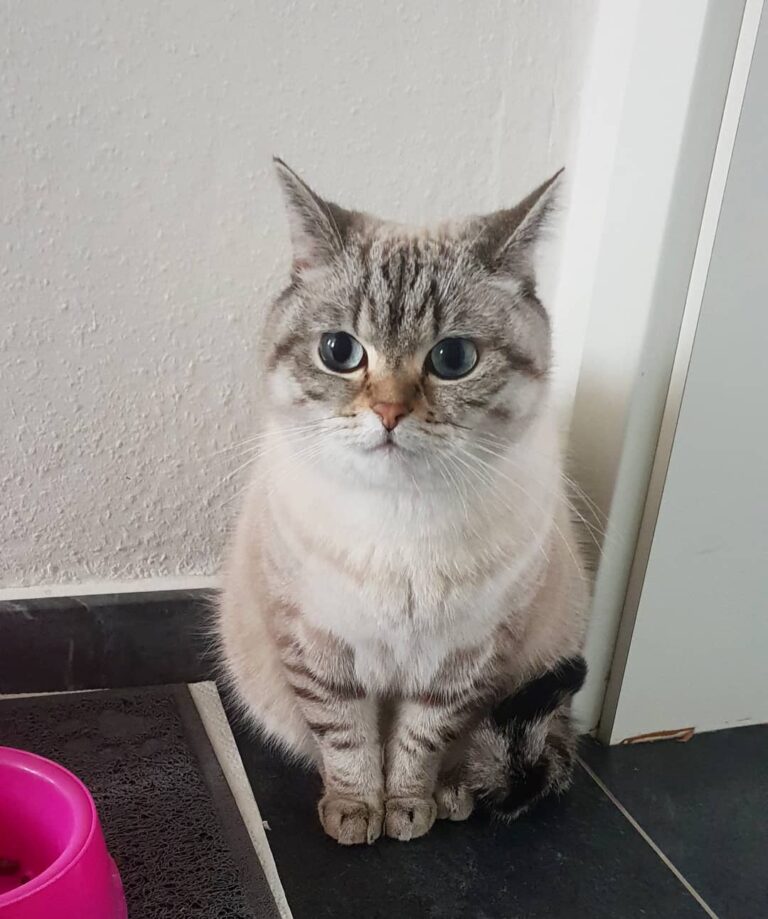 Miss Cutiepie!