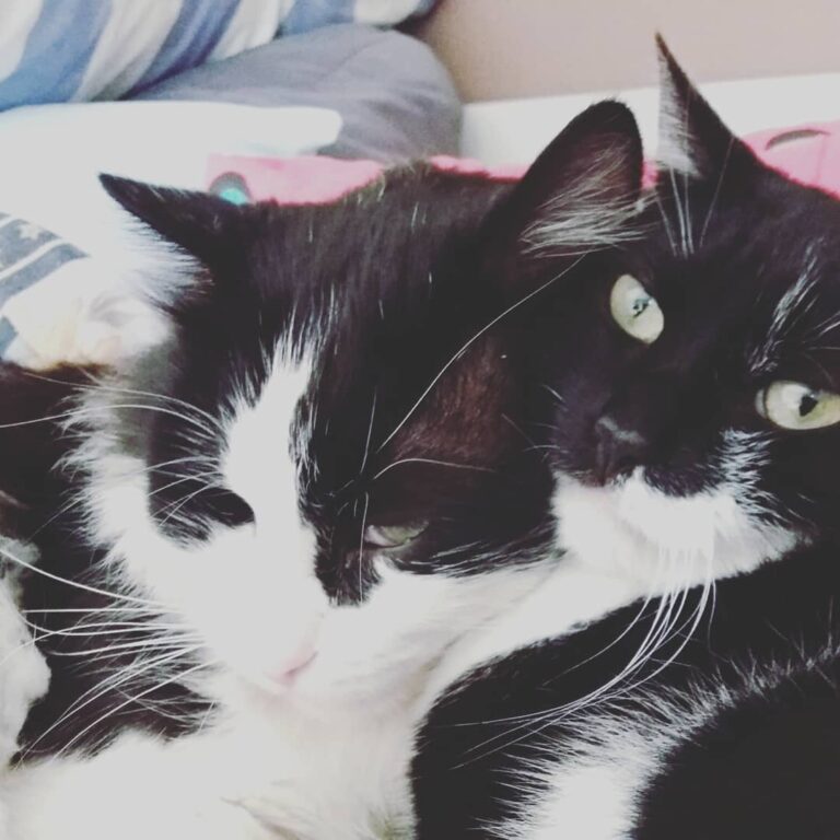 Missing these crazy ones