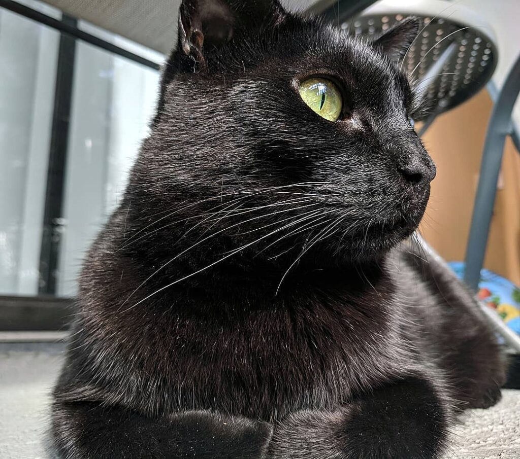 My beautiful boy, BC ________________________________________________