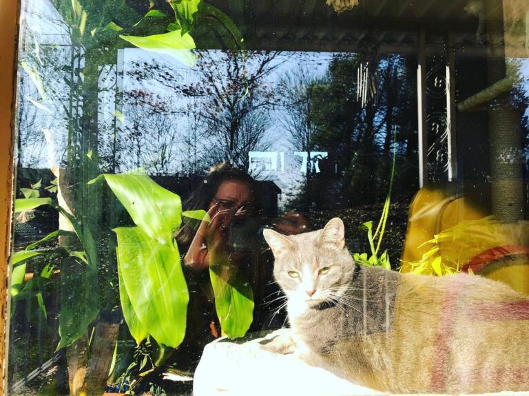 My welcoming committee…..My first pet……my girl…..my Purr
